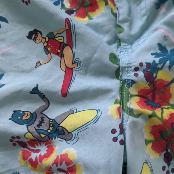 Batman Robin Swim Trunks Surf Board Mesh Shorts DC Comics Hawaiian Men’s Medium - Picture 2 of 7